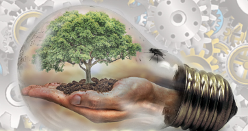 Édition 2026 : Appel à projets et Journées de rencontre de la Graduate Initiative EIF.